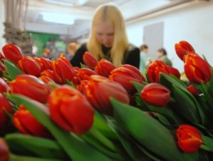В городе Ульяновске накануне восьмого марта будет проходить порядка сорока мероприятий