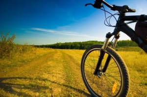 Советы по выбору велосипеда